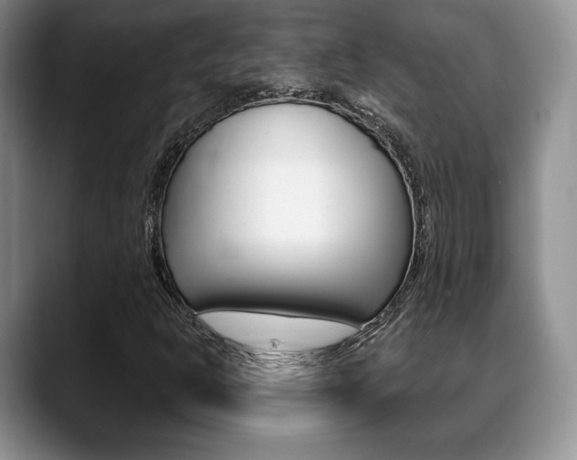 X0000088871302200706080713