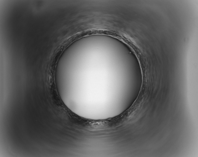 X0000088871303200706080713