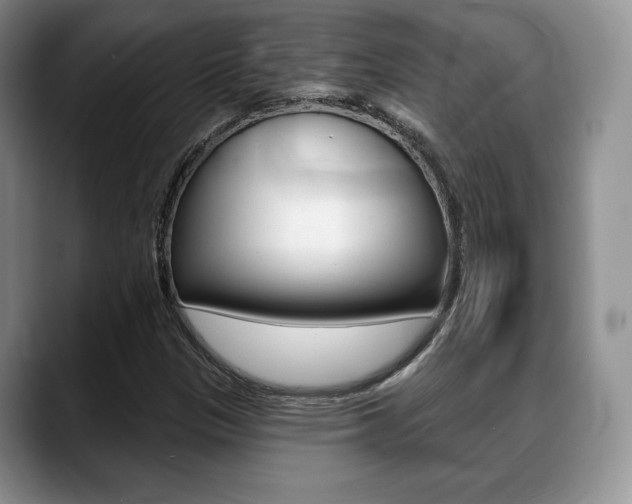 X0000088871305200706080713