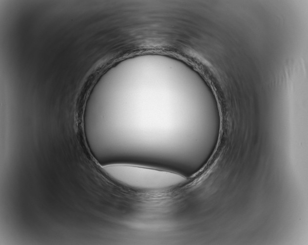 X0000088871306200706080713