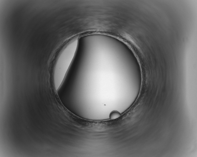 X0000088871307200706080713