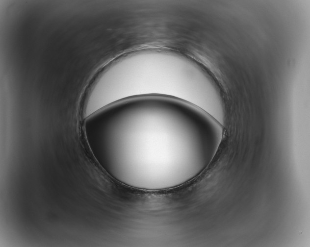 X0000088871308200706080713
