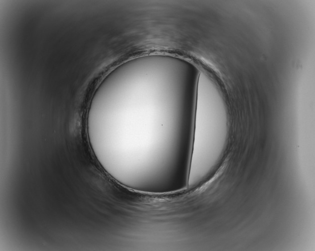 X0000088871309200706080713