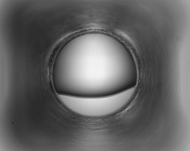 X0000088871310200706080713