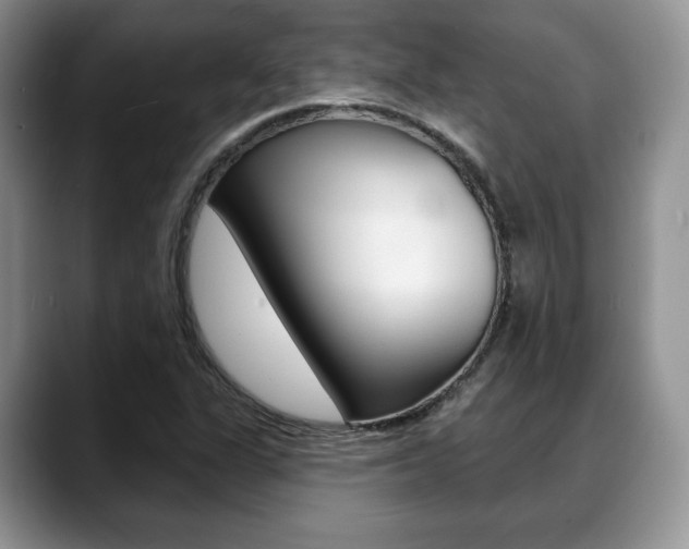 X0000088871311200706080713