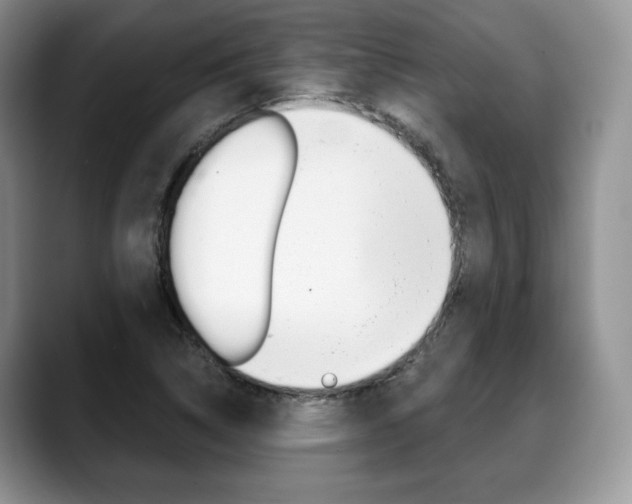 X0000088871314200706080713