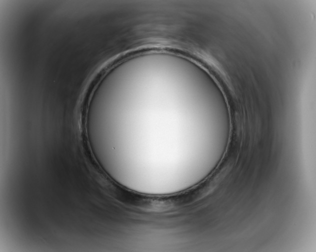 X0000088871318200706080713