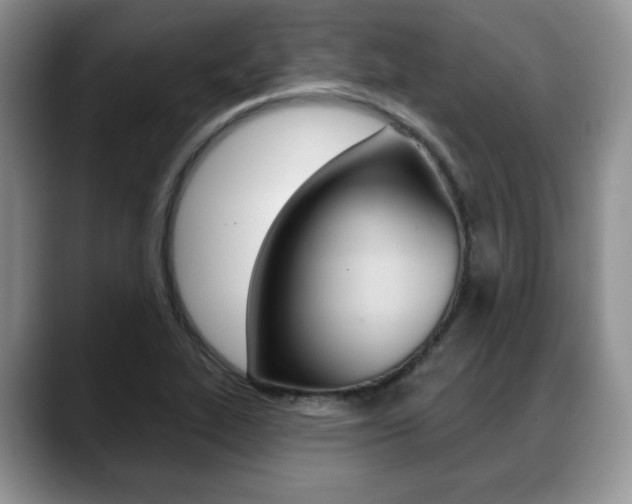 X0000088871319200706080713
