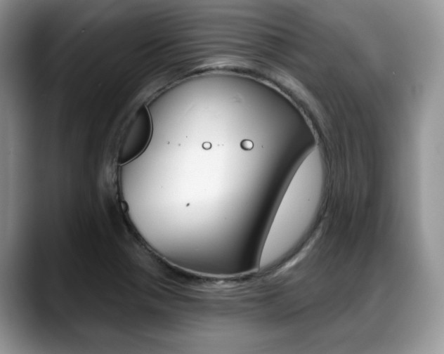 X0000088871321200706080713