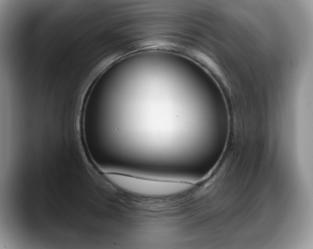 X0000088871330200706080713