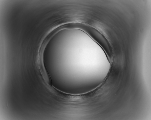 X0000088871332200706080713