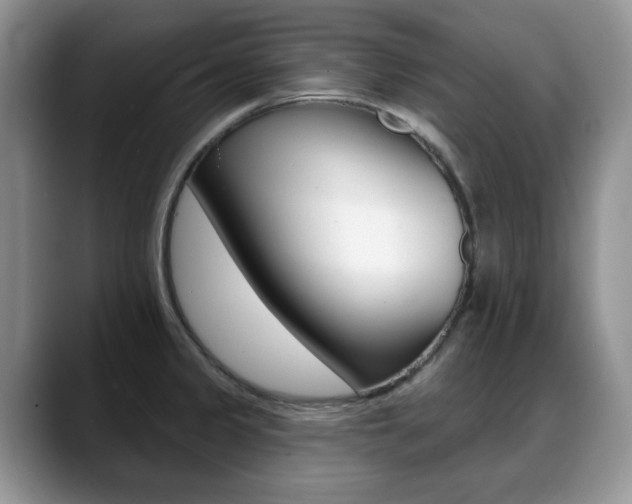 X0000088871333200706080713