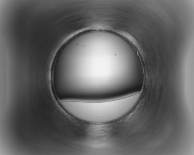 X0000088871335200706080713
