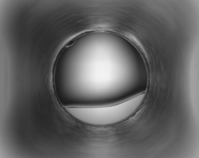 X0000088871336200706080713