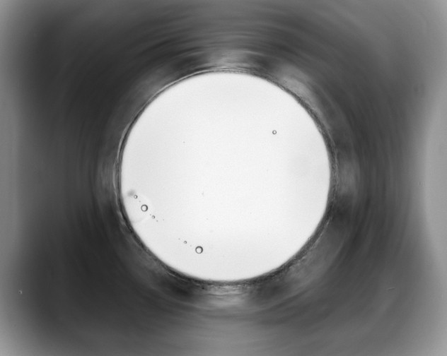 X0000088871338200706080713