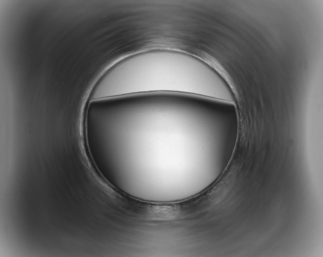 X0000088871339200706080713