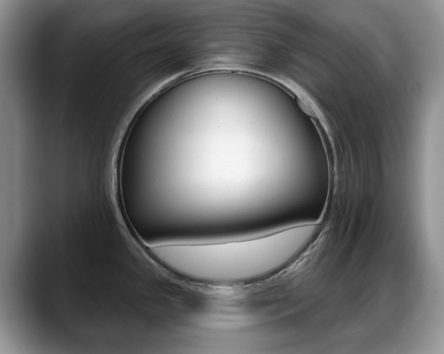 X0000088871341200706080713