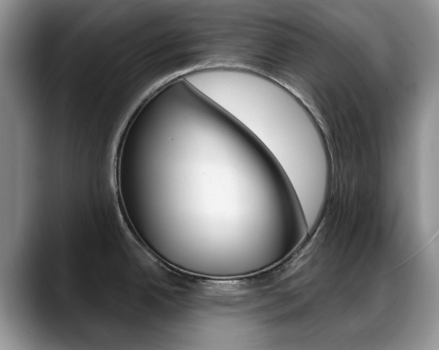 X0000088871342200706080713