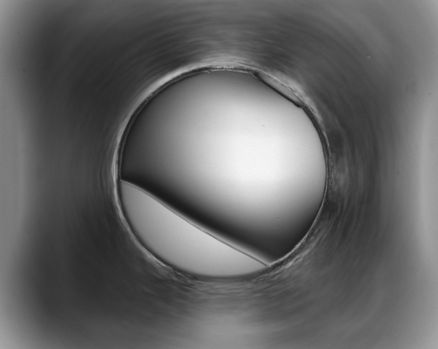X0000088871343200706080713