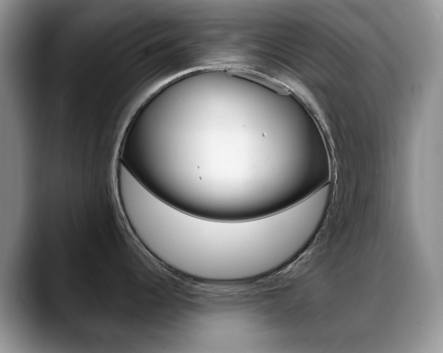 X0000088871344200706080713