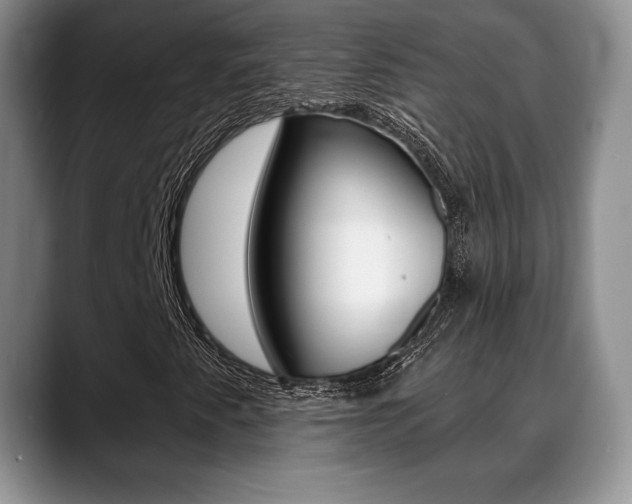 X0000088871345200706080713