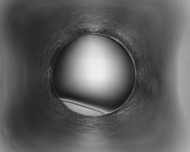 X0000088871349200706080713