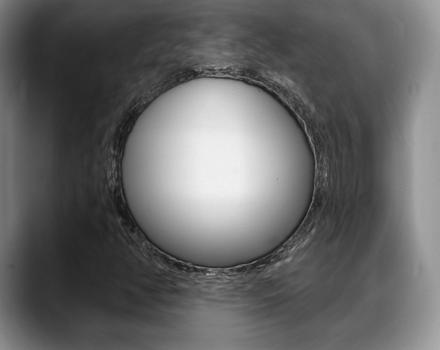 X0000088871350200706080713