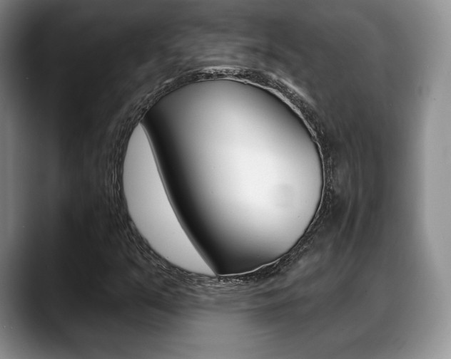 X0000088871351200706080713