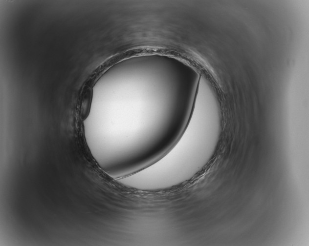 X0000088871352200706080713