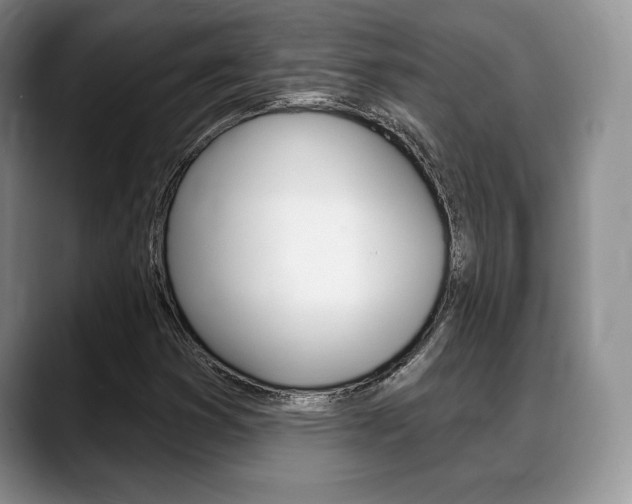 X0000088871353200706080712