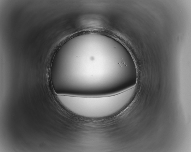 X0000088871355200706080712