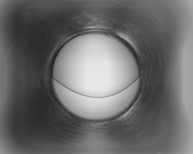 X0000088871357200706080712