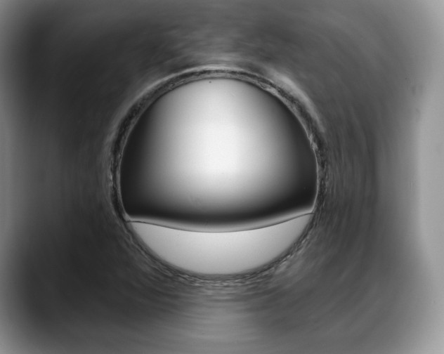 X0000088871360200706080712