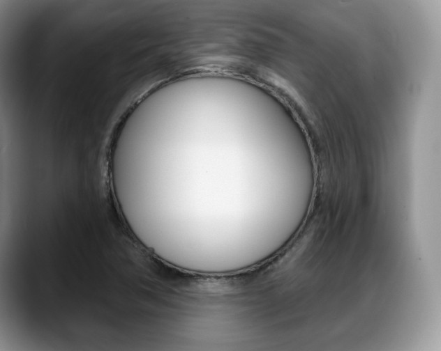 X0000088871362200706080712