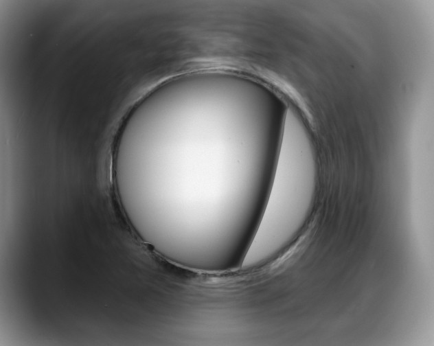 X0000088871365200706080712