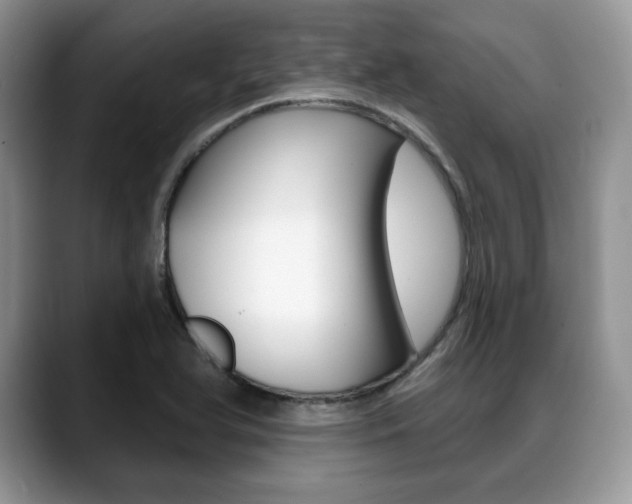 X0000088871366200706080712