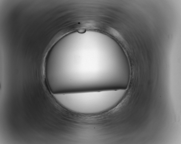 X0000088871370200706080712