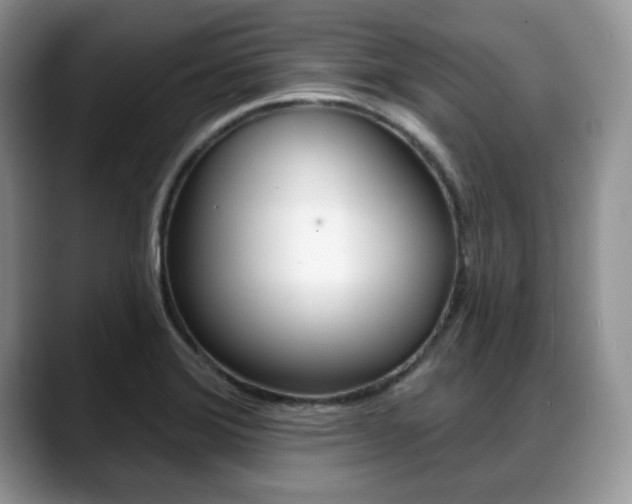 X0000088871372200706080712