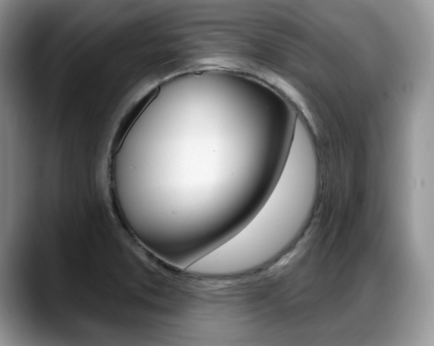 X0000088871373200706080712