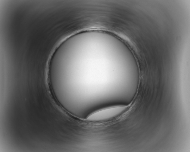 X0000088871374200706080712