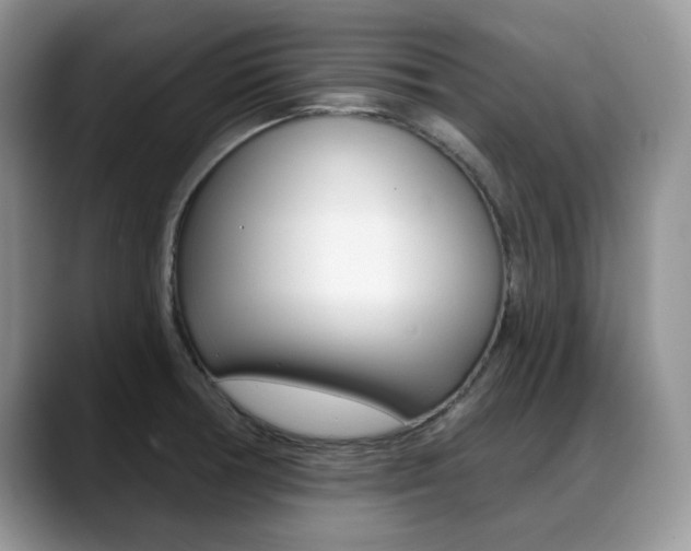 X0000088871378200706080712