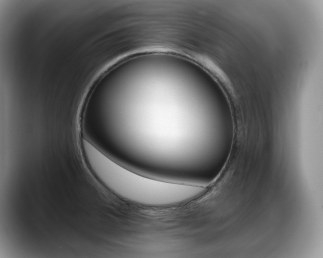 X0000088871380200706080712
