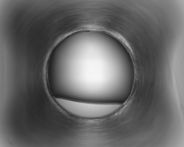 X0000088871381200706080712