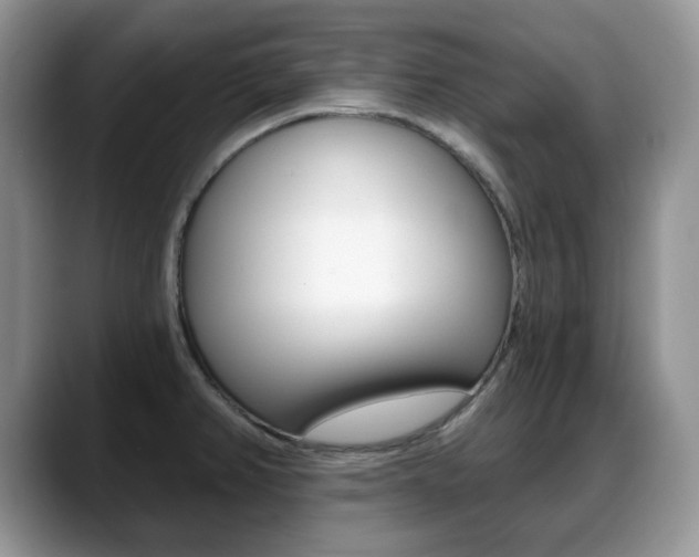 X0000088871382200706080712