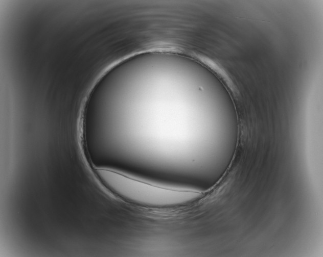 X0000088871383200706080712
