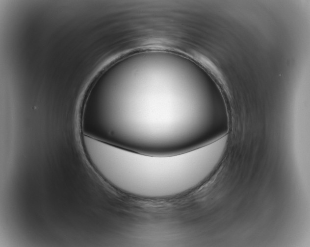X0000088871384200706080712