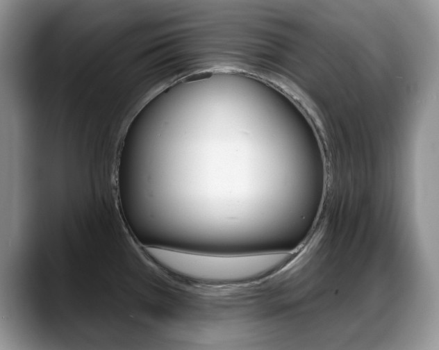 X0000088871385200706080712