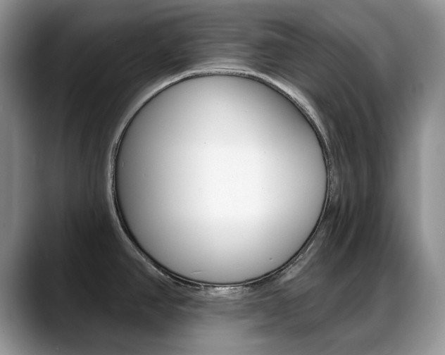 X0000088871390200706080712