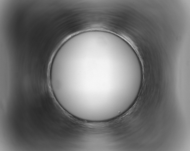 X0000088871392200706080712