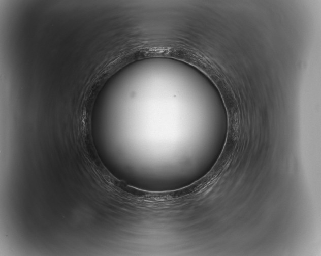 X0000088871394200706080711